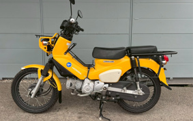 HONDA CROSS CUB JA45