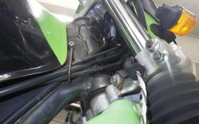 KAWASAKI SUPER SHERPA KL250G