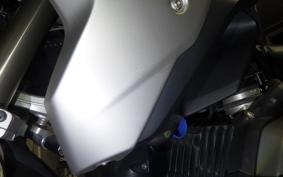 BMW R1200GS RALLY 2017