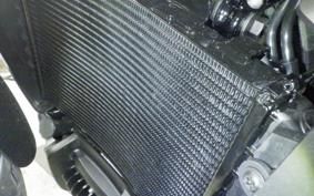 HARLEY RH975S 2026