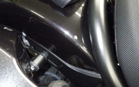 HONDA REBEL 1100 T 2024 SC83