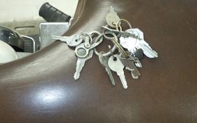 OTHER +UNREGISTERED MODEL by BDS1200 2010