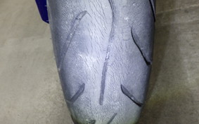 HONDA CBR1000RR 2004 SC57