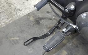 HARLEY XL883N 2019