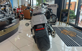 HARLEY  HARLEY FLFBS 2025 YGK