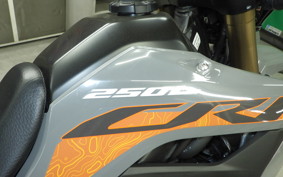HONDA CRF250L 2020 MD47