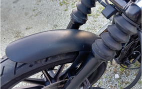 HARLEY XL883N 2015 LE2