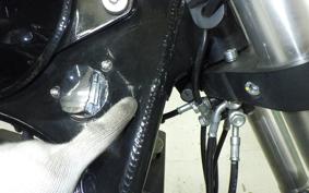 OTHER +DAYTONA125 2024