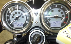 TRIUMPH BONNEVILLE T100 2024