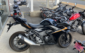 SUZUKI GSX250 R DN12B