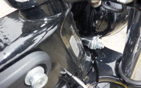 HARLEY FXBB1920 2025