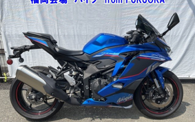 OTHER ZX-4RSE 2023