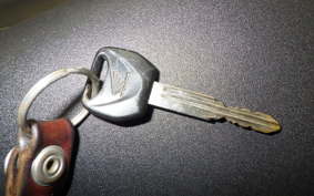 HONDA REBEL 250 2019 MC49