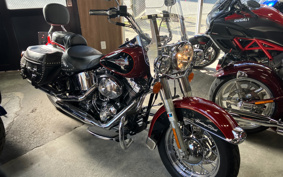 HARLEY FLSTCI 2006 BWB