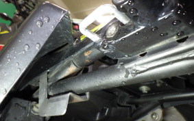 YAMAHA WR250X 1994 DG15J