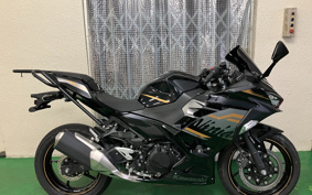 KAWASAKI NINJA 250 EX250P