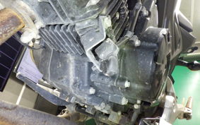 HONDA GROM 2001 JC75