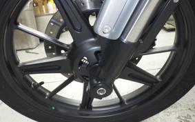 OTHER +ENFIELD SUPER ﾒﾃｵ650 2025