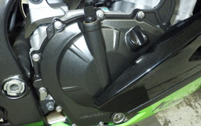 KAWASAKI ZX-4RR 2023 ZX400P