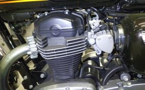 KAWASAKI W800 2019 EJ800A