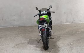 KAWASAKI NINJA150RR KR150P