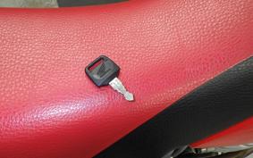 HONDA XR-250 2025 MD30