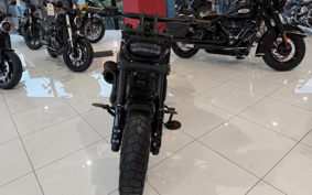 HARLEY FXFBS 2019 YLK