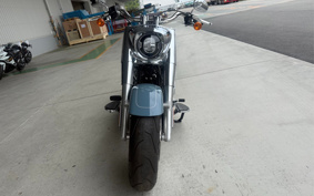 HARLEY FLFBS 2025 YGK