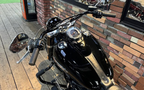 HARLEY FLSL 2021 YDJ
