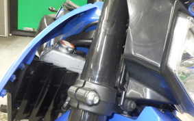 KAWASAKI KLX250D TRACKER X LX250V