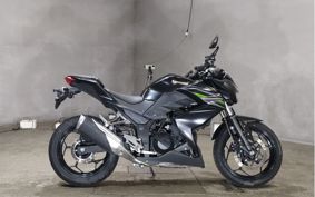 KAWASAKI Z250 ER250C