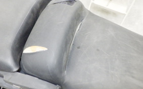 HONDA PS250 2006 MF09