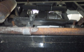 OTHER UNREGISTERED MODEL by BDS125 TRIKE 2021