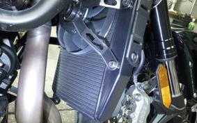 KAWASAKI ZH2 2024 ZRT00R