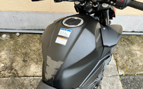 KAWASAKI Z250 ABS EX250P