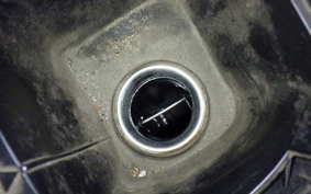 YAMAHA MAXAM 250 SG17J