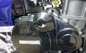 KAWASAKI GPZ900R NINJA 1995 ZX900A