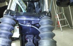 HARLEY XL883N 2015