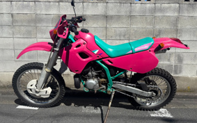 KAWASAKI KDX250SR DX250F
