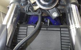 YAMAHA MT-25 2008 RG43J