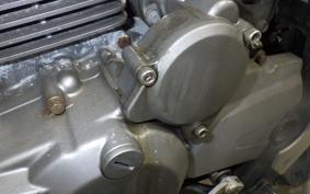 KAWASAKI SUPER SHERPA KL250G