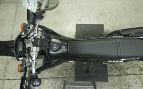 YAMAHA WR250X DG15J