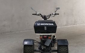 HONDA ZOOMER Trike AF58