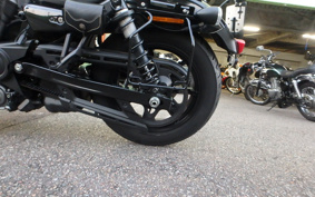HARLEY RH975 NIGHT STAR 2022 ZH1