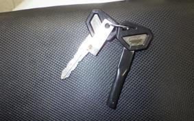 KAWASAKI KLX250 Gen.2 LX250S