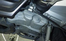 HONDA PCX 125 JF81