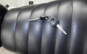 SUZUKI ST250 2016 NJ4AA