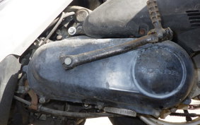 HONDA DIO Gen.5
