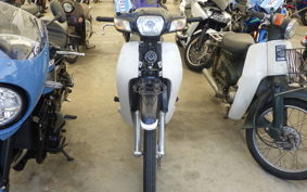 HONDA C110 SUPER CUB 2019 JA10