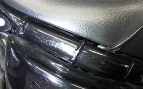 HARLEY FLSL 1750 2021